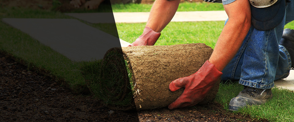 Pequot Lakes Landscapers
